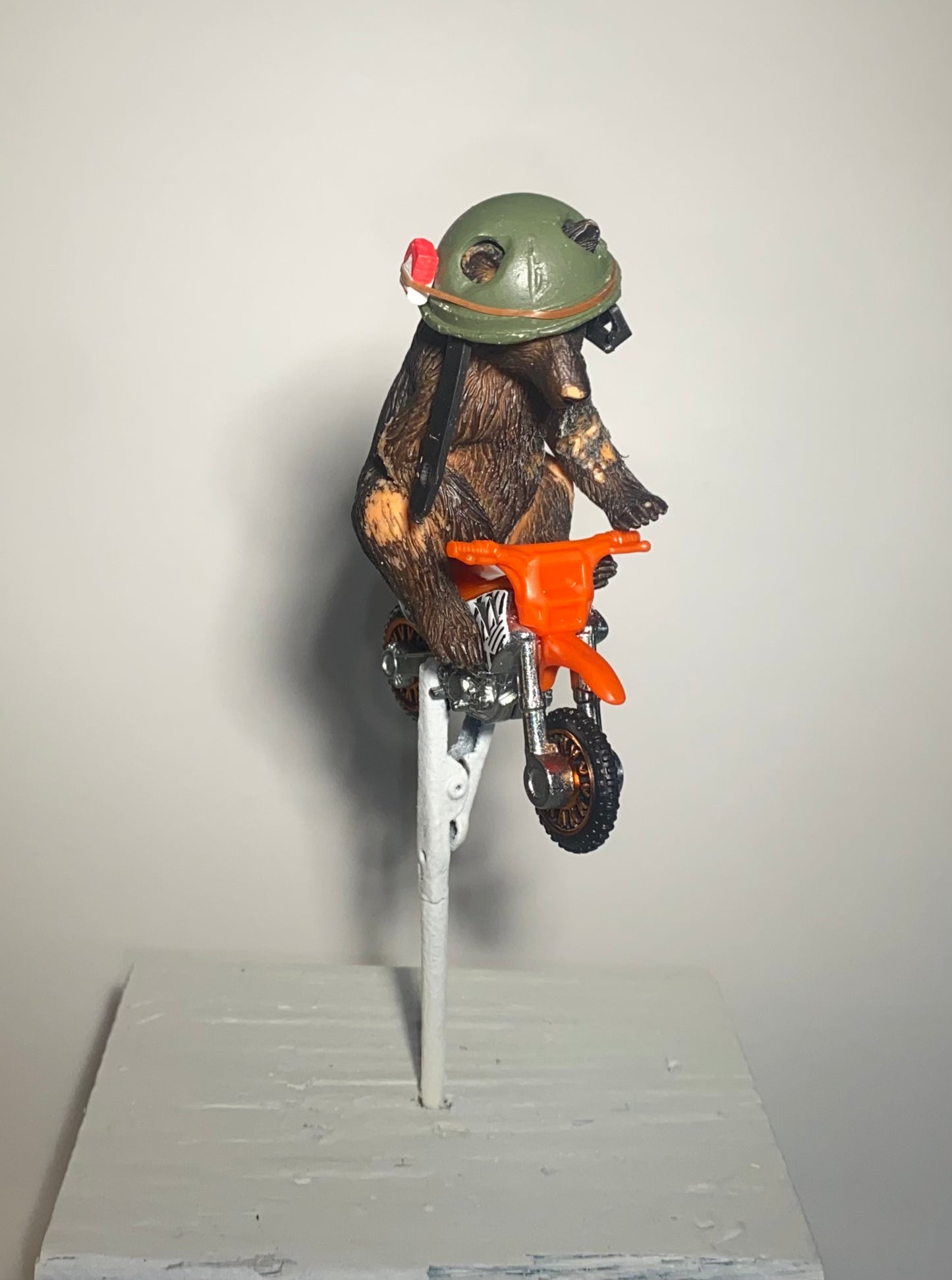 Danger Bear