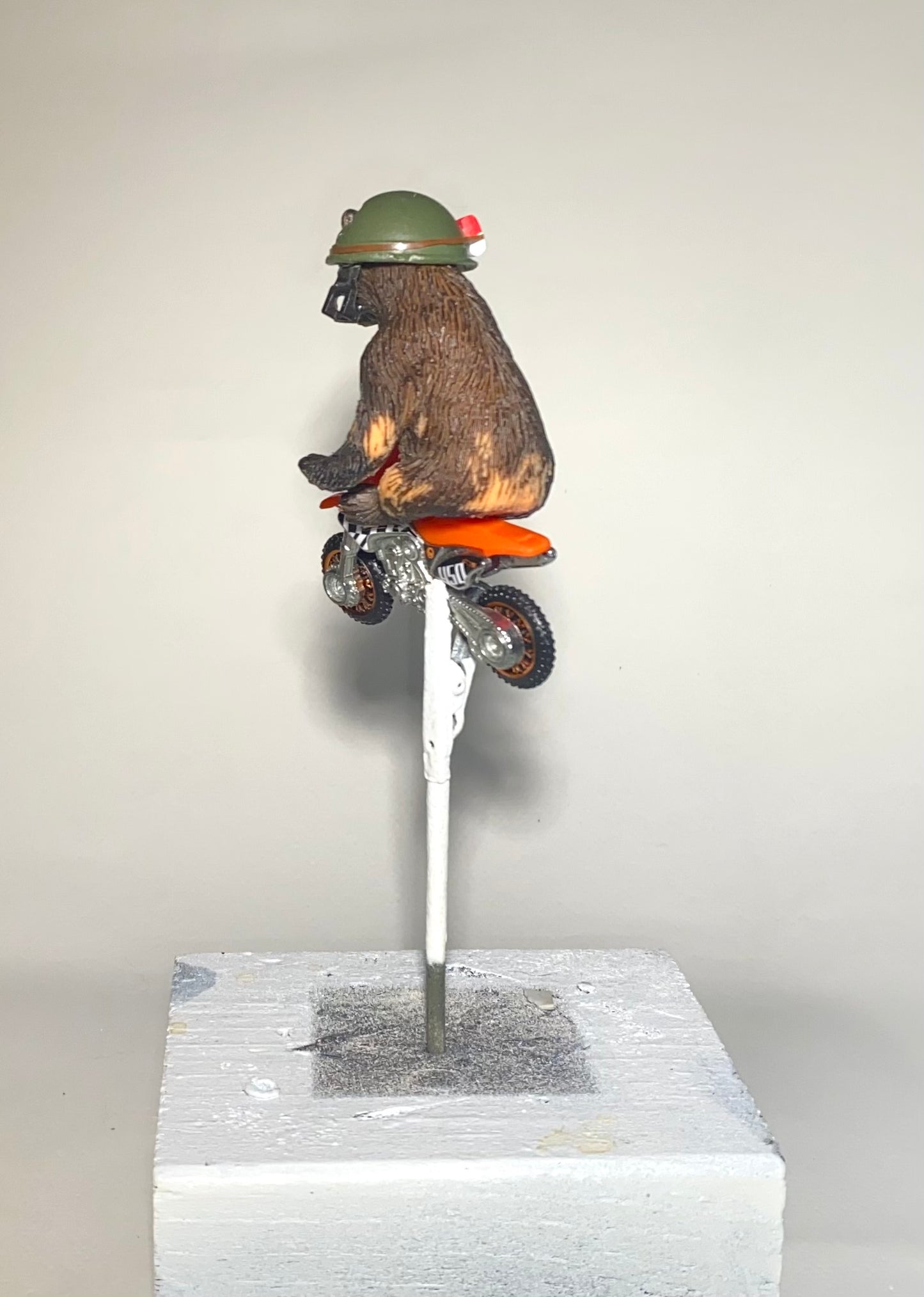 Danger Bear